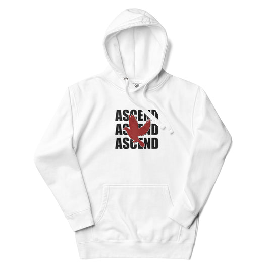 Ascend - Embroidered Unisex Hoodie (Black Design)